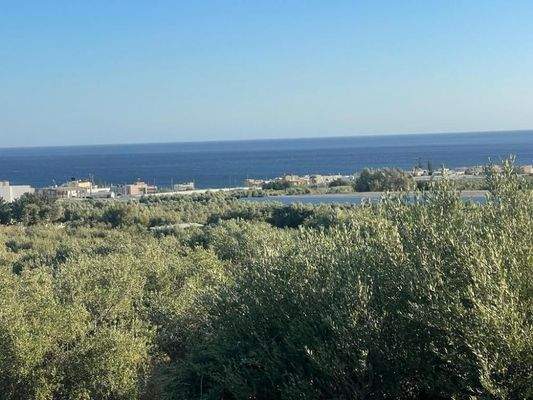 Kreta, Koutsouras: Tolles Baugrundstück in Meeresnähe zu verkaufen