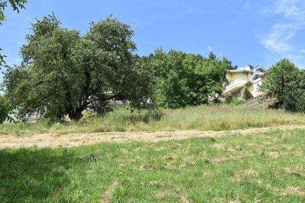 nach Süden unverbaubar