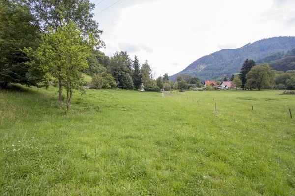 Grundstück