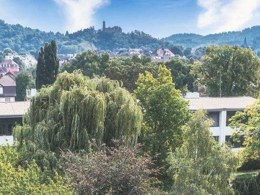 Weinheim Burg 