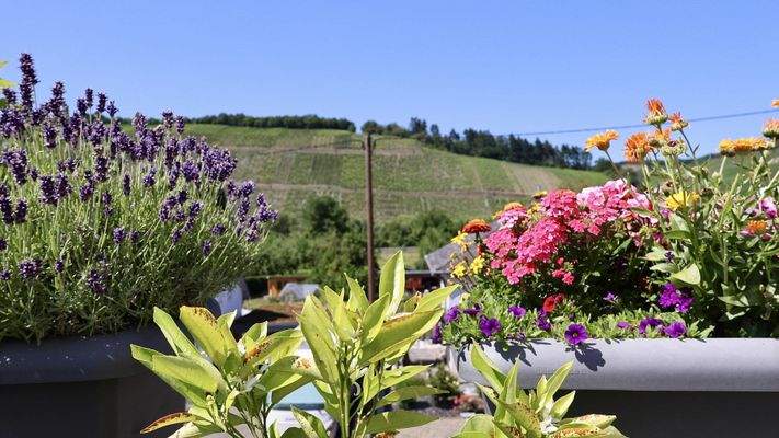 Ausblick Wohnung Nr. 4 im OG