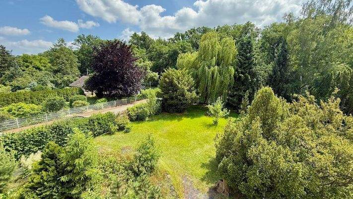 Grün satt auf dem Grundstück