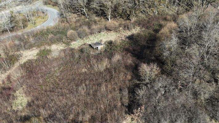 östlicher Grundstücksteil