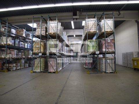 Düsseldorf Halle, Düsseldorf Hallenfläche