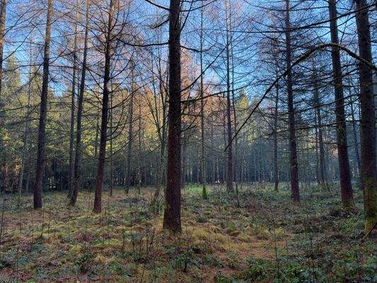 2025-12-10 11.15.34.jpg