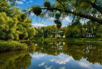 Der Lindenweiher