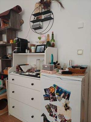 Gefrierschrank & HAUGA Schrank.jpg