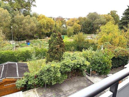 Blick in den Garten.JPG