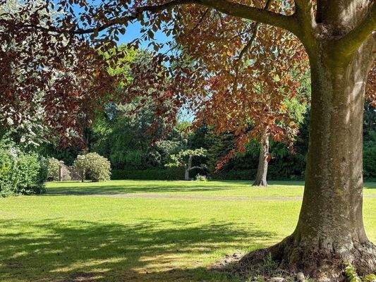 ...und altem Baumbestand auf Rasenflächen...