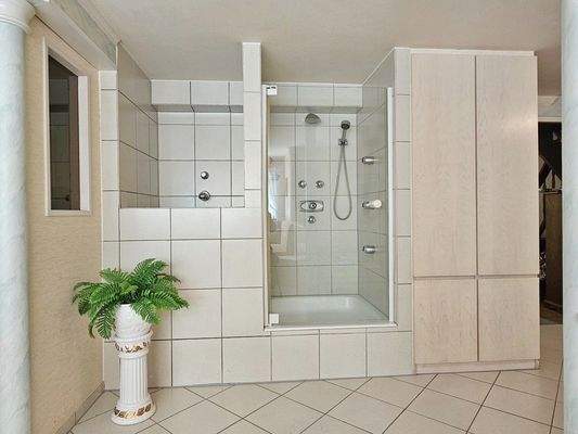 KG-Wellness_Dusche-Tauchbecken