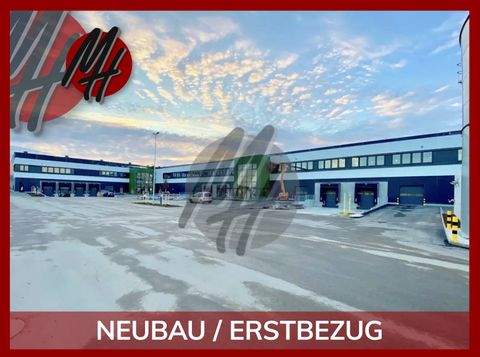 Ibbenbüren Halle, Ibbenbüren Hallenfläche