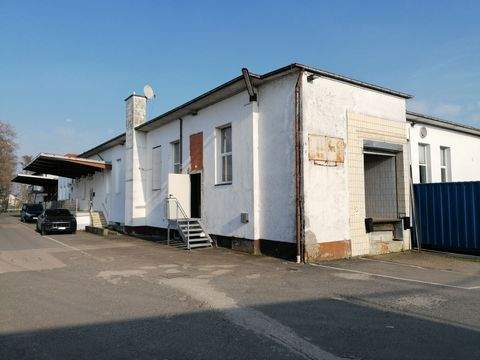 Bamberg Halle, Bamberg Hallenfläche