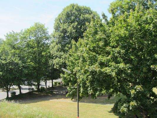 Blick v.d. Loggia in den Park