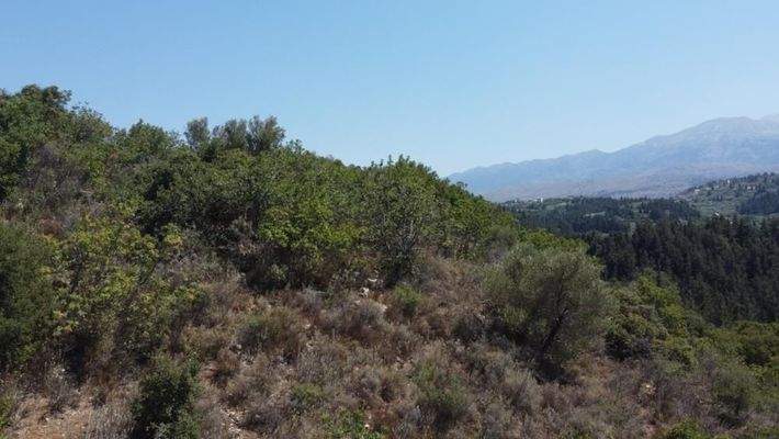 Kreta, Neo Chorio: Grundstück zu verkaufen