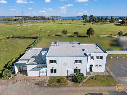 Spandowerhagen Halle, Spandowerhagen Hallenfläche