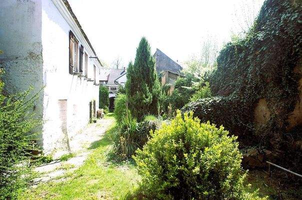 1746786279_46IUkQDAXR