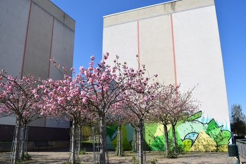Gotha Wohnungen, Gotha Wohnung mieten