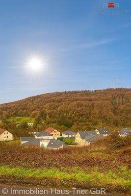 Blick ins Tal - vom Grundstück aus