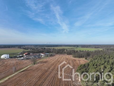 Niesky / Kosel Bauernhöfe, Landwirtschaft, Niesky / Kosel Forstwirtschaft