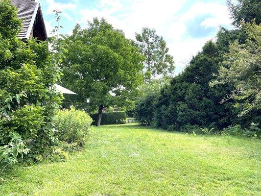 großer eingewachsener Garten.jpg