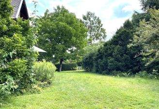 großer eingewachsener Garten.jpg