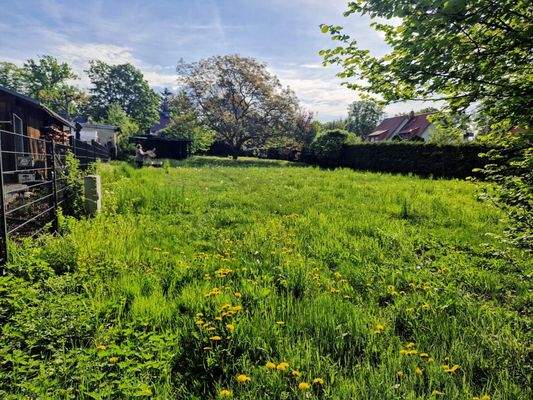 WhatsApp Bild 2025-05-07 um 18.26.20_7fed599c.jpg