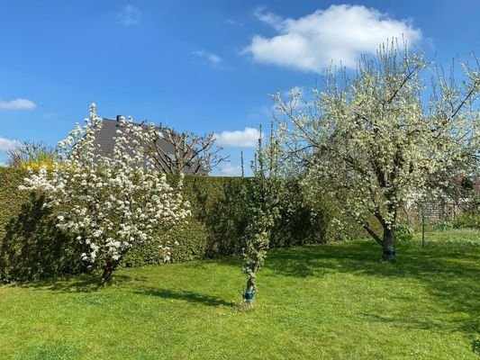 Grundstück, Obstbäume