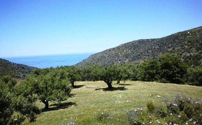 Ostkreta, Chamaizi: Haus mit atemberaubendem Berg- und Meerblick zu verkaufen