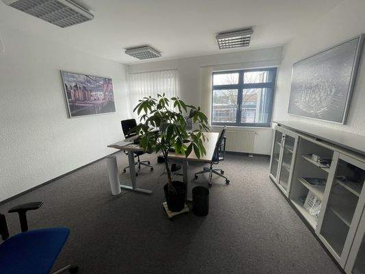 Modernes Büro mit Pflanzen