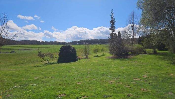 Blick in die Nachbarschaft.jpg