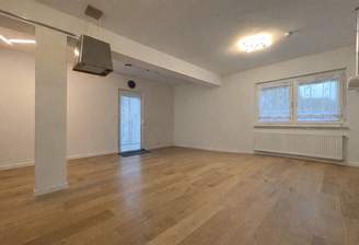 Wohn und Esszimmer Leer