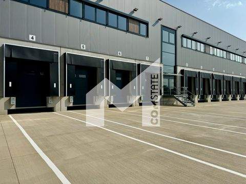 Düsseldorf Halle, Düsseldorf Hallenfläche