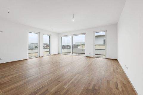 Wiener Neustadt Wohnungen, Wiener Neustadt Wohnung kaufen