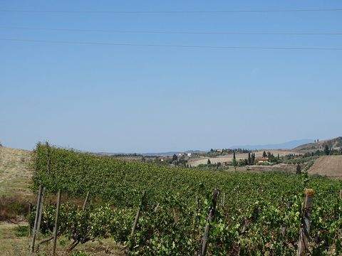 Certaldo Bauernhöfe, Landwirtschaft, Certaldo Forstwirtschaft