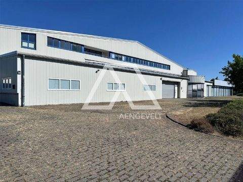 Kabelsketal Halle, Kabelsketal Hallenfläche