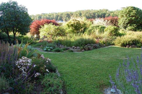 Garten Südseite.JPG