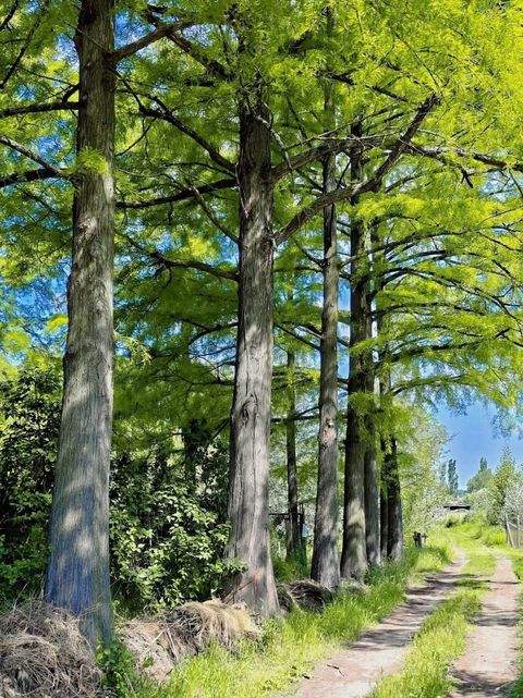 Kiskunhalas Grundstücke, Kiskunhalas Grundstück kaufen