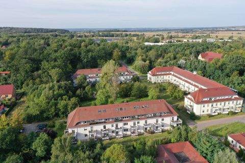 Oschatz Wohnungen, Oschatz Wohnung kaufen