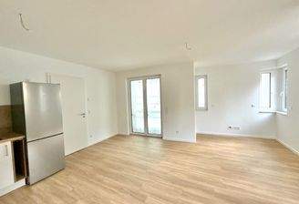 Wohn-Koch und Essbereich