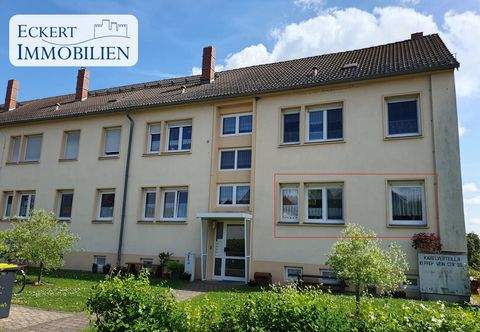 Steigra Wohnungen, Steigra Wohnung kaufen