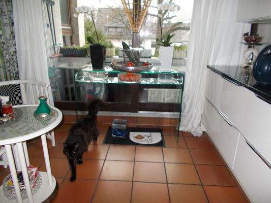  kl. Balkon zur Strassenseite