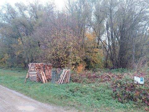 Landsberied Bauernhöfe, Landwirtschaft, Landsberied Forstwirtschaft