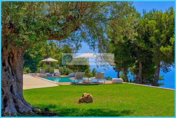 a85b5e984a8644cfb57017c1d5e2b01f-original