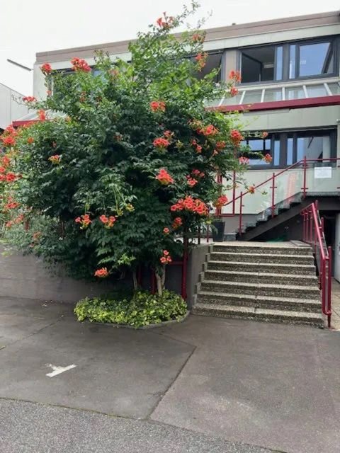 Bonn Büros, Büroräume, Büroflächen 