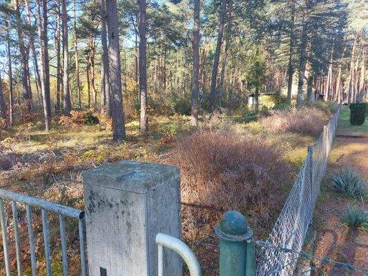 Gesamtüberblick II.jpg