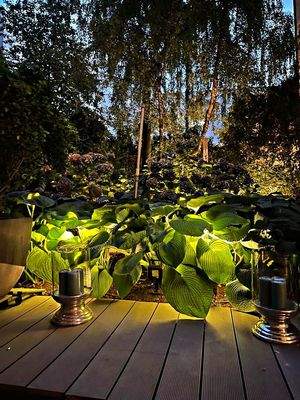 1 Gartenbild_Abendstimmung