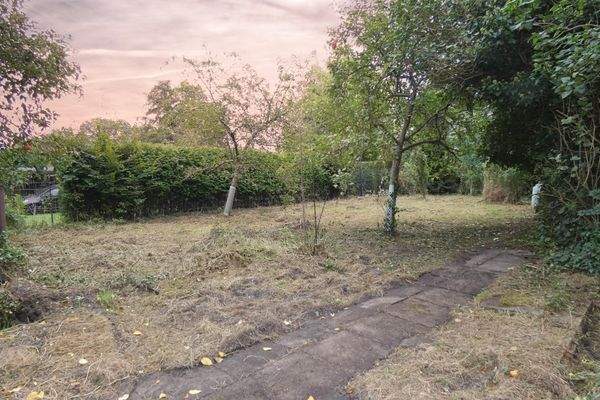 ein Garten mit Apfelbäumen