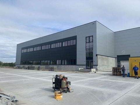 Langen Halle, Langen Hallenfläche