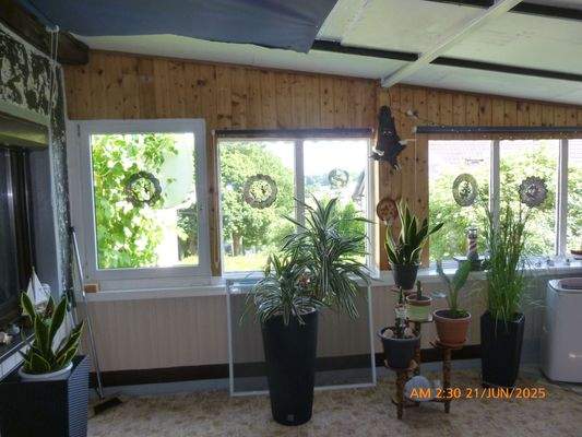 Großer Wintergarten