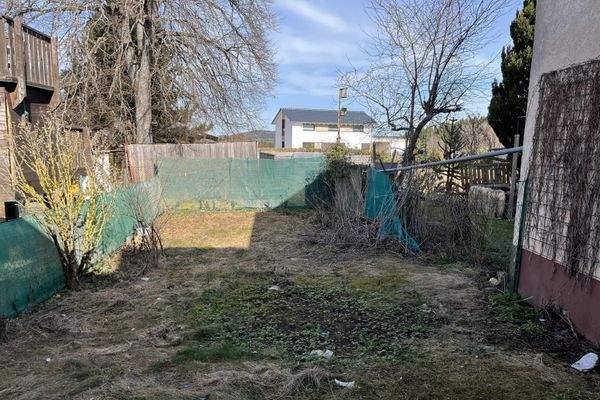 Garten / Rasenfläche hinterm Haus